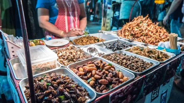 L'entomofàgia, una pràctica ancestral i sostenible insectes en un mercat