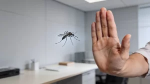 Mosquits: El Perill Estival | PetCat