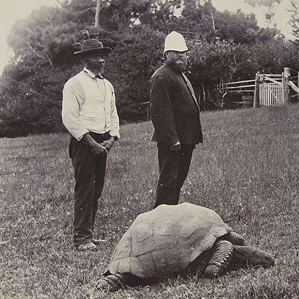 Jonathan, el 1886
