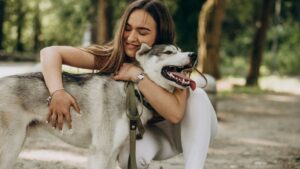 Perro, animales, mascotas