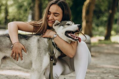 Perro, animales, mascotas